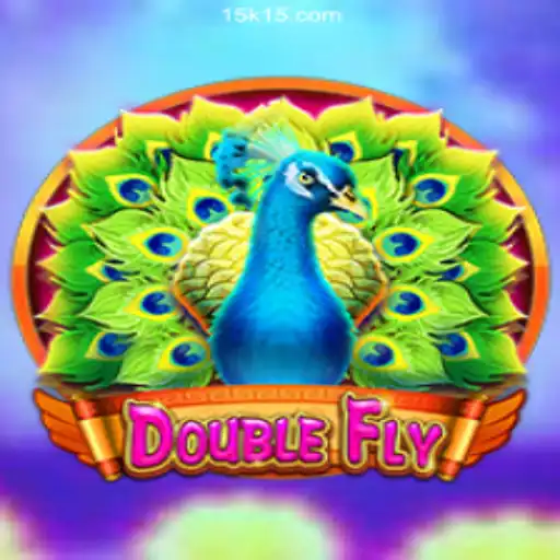 DoubleFly: A New Interactive Gaming Experience